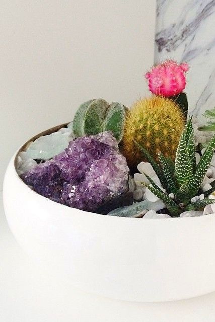 How To Use Crystals With Plants